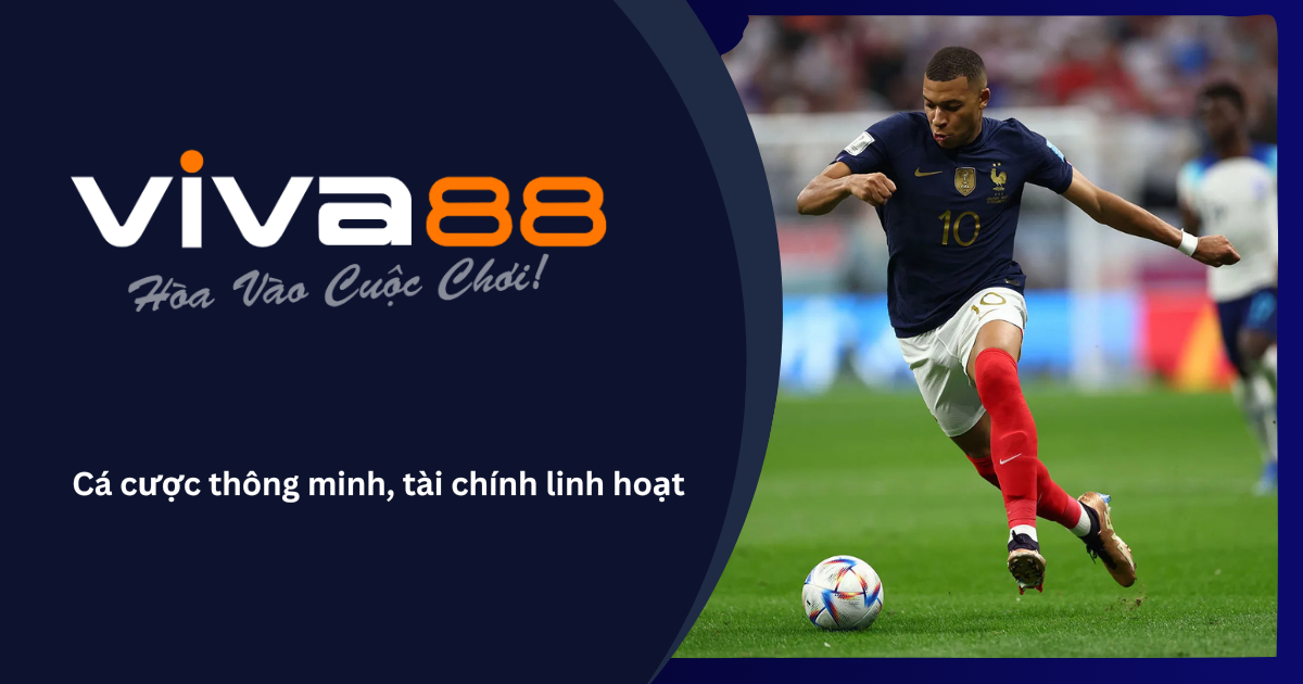 VIVA88-nha-cai-tra-sau